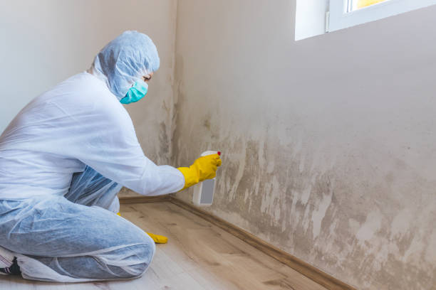 Commercial Mold Remediation assessment for commercial property in Saint Benedict